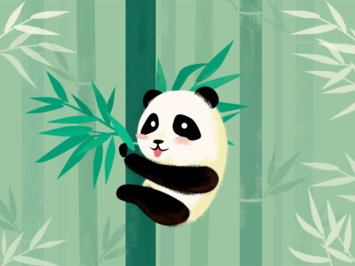 Cute Panda Climbing Bamboo by Kairui Wen - Dribbble