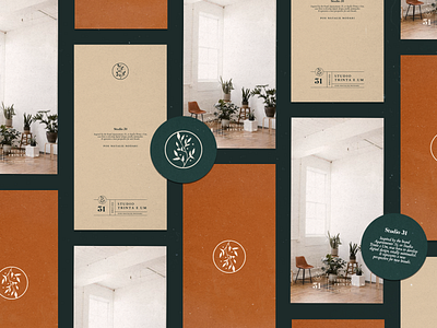 Studio 31 - Visual Identity design illustration minimalist modern pack packaging vector