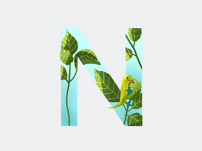 36 Days of Type N children book concept digital art flat design fruit gecko graphic design illustraion immune system letter noni noni fruit plant typography