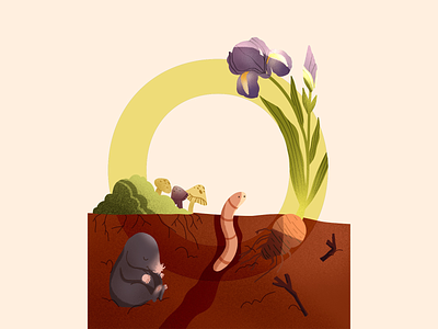 36 Days of Type O character children book illustration childrenbook digital art illustraion ipadpro iris plants typography