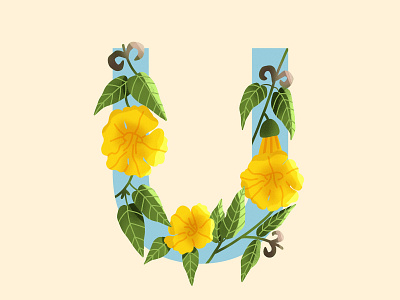 36 Days of Type U cats claw children book digital art flat design flower graphic design healthy herb letter plant illustration plants typography