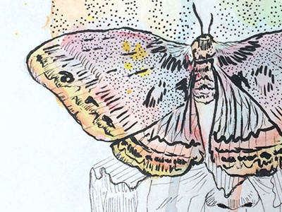 Change butterfly change color drawing face illustration ink man metamorphosis paint pen wings