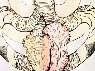 Cobra and shell art cobra color fluid illustration ink insect line reptile sea shell snake