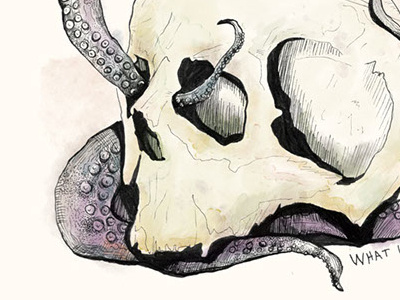 Color added art color illustration line pnw portland skull squid tentacle