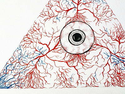 eyeball and veins anatomy art artist color eye eyeball geometric ink line red triangle veins
