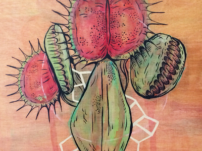 Carnivore color geometric illustration line painting plant shape venus flytrap wood