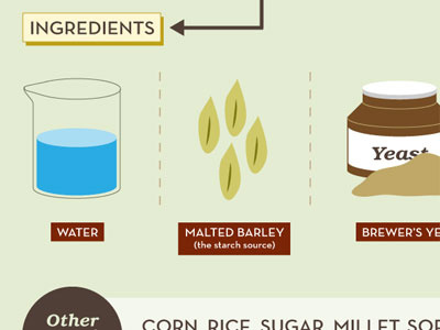 Beer Brewing Process beer brewing earthy green illustration infographic process tan typography