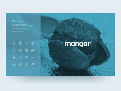 Mongar Higiene branding design logo web