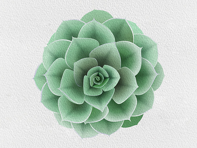 Succulent icon illustration vector