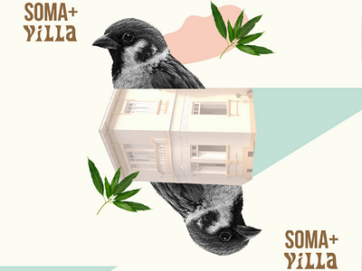 SOMA+VILLA MUSIC FESTIVAL art brand collage design festival illustration music