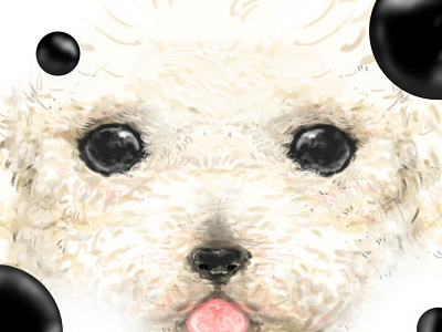 Poodle puppy Zoom cute design digital dog drawing illustratiton painting poodle puppy