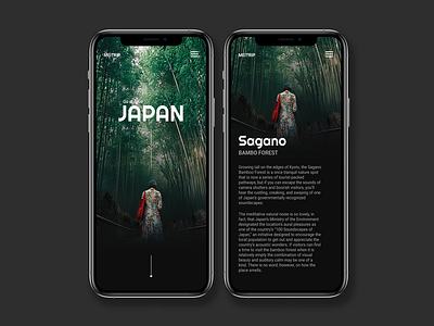 Surface for MEITRIP appdesign japanese culture surfacedesign travelapp uxuidesign