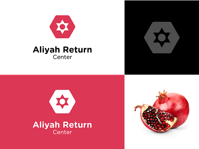 Aliyah Return Center branding logo pomegranate star of david