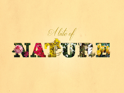 A Bite of Nature art design flowers graphic design photo art photograhy poster poster art poster design typography