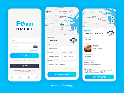 FlexiDrive - Educational Driving App