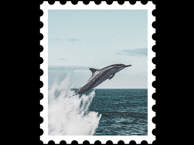 Postcard stamp 3 [ inspiration ] design dolphin graphicdesign inspiration postcard stamp