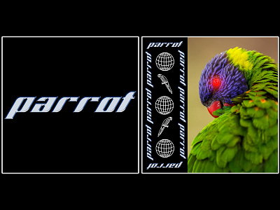 parrot [ bird collection 3/7 ] birds design graphicdesign parrot poster poster art poster design