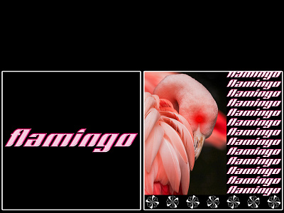 flamingo [ bird collection 5/7 ] birds design flamingo graphicdesign poster poster art poster design