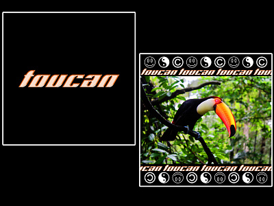 toucan [ bird collection 7/7 ] END birds design graphicdesign poster poster art poster design toucan