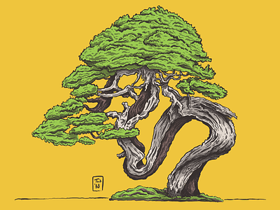 Bon One bonsai digital illustration illustration ipad pro nature print printmaking procreate tree