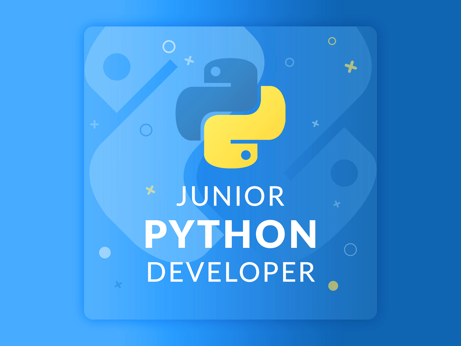 Python разработчик. Питон Джуниор. Питон девелопер. Python баннер.