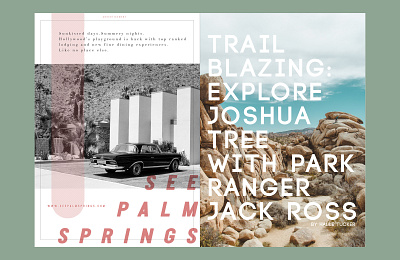Leave No Trace: Travel Mag Mockup advertisement color blocking contemporary editorial design joshua tree palm springs travel magazine typography