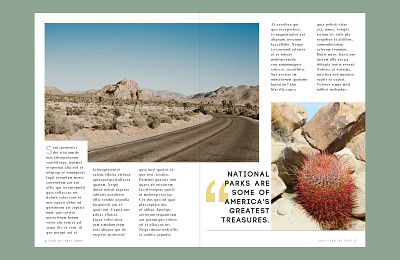 Leave No Trace: Travel Mag Mockup article design clean design editorial design joshua tree magazine design national park
