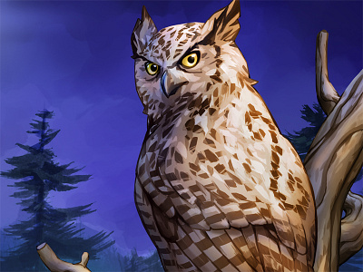 Magic Girl: Owl art bird design digital painting illustration owl