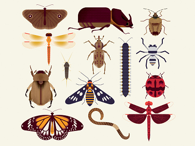 Insect bugs earthday insect vector
