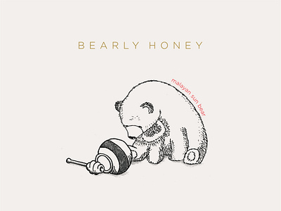 Bearly Honey brand and identity branding design graphic design illustration lettering package design vector