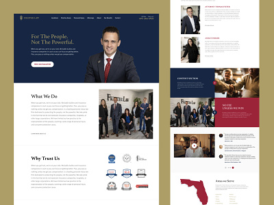 Fighter Law website design