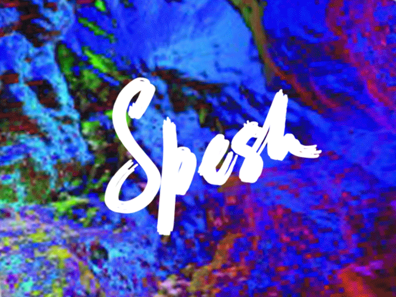 Spesh Logo / Cyberpunk style / Glitch effect