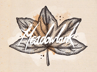 Meadowlark creative design illustration meadowlark music superfex