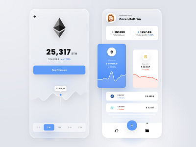 Crypto Wallet