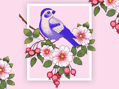 Blue bird art bird bluebird branding design dogrose flowers illustration pink rose vector web website
