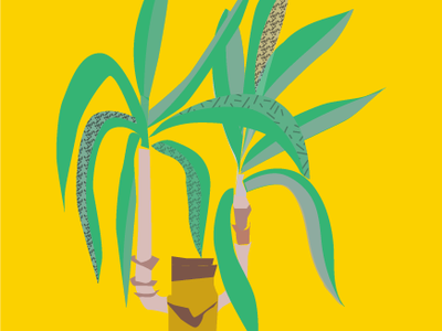 Yucca illustration