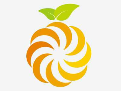 Smoothie maker food fruit green healthy juice logo orange smoothie