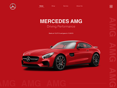 The AMG