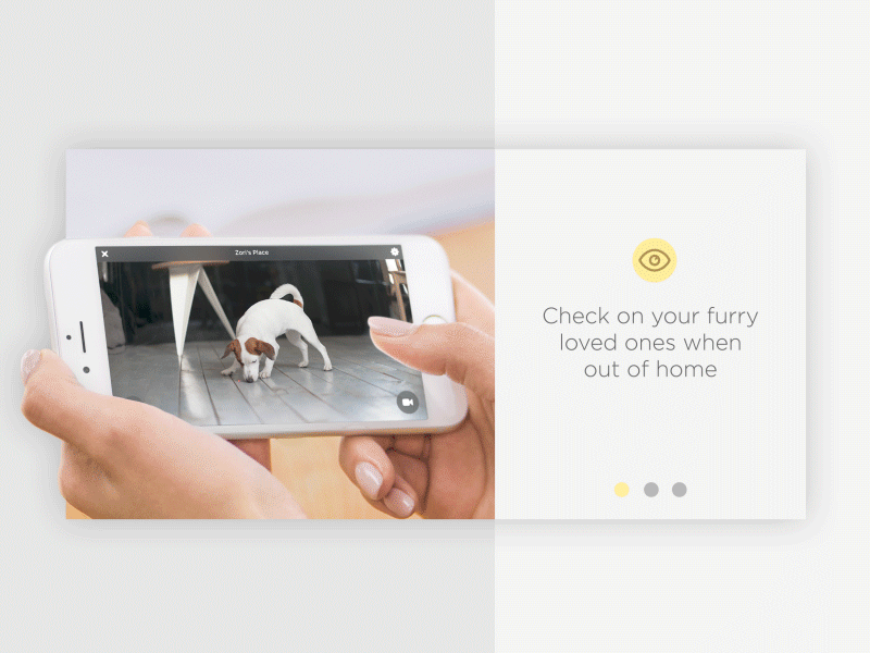 Petcube Website Slider animation cats clean dogs flat icons minimal pagination slider webdesign