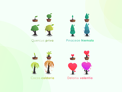 Trees Illustration app branding concept design icon illustration logo ui ux vector