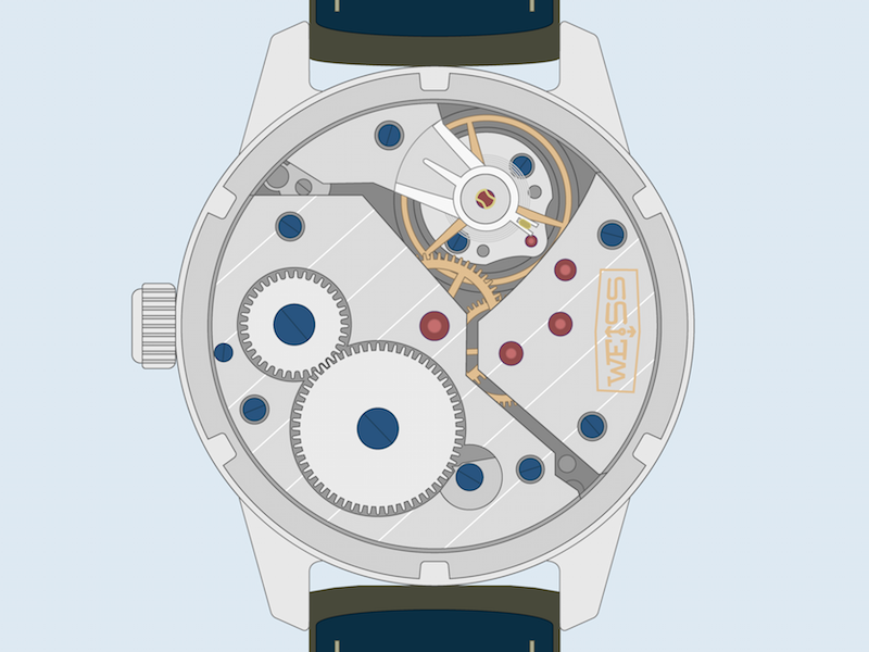 Weiss watch illustration back color dribbble