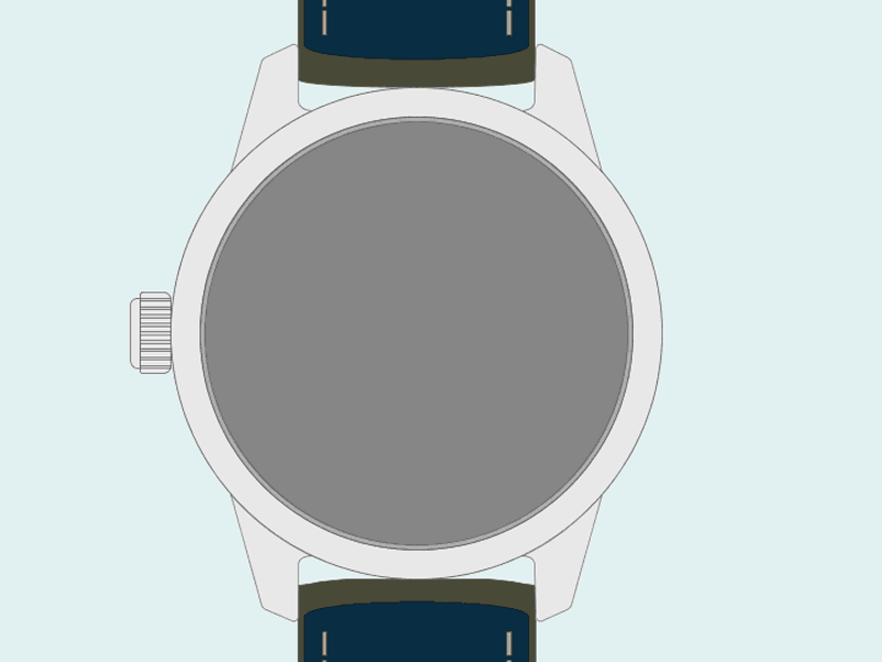 Weiss caseback animation large