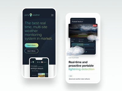 Perry Weather app mobile app ui ui design web design website