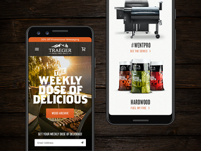 Traeger Wood Fired Grills e commerce ecommerce web design website