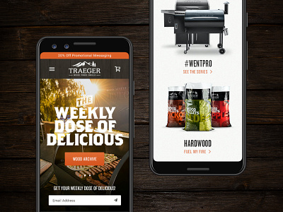 Traeger Wood Fired Grills