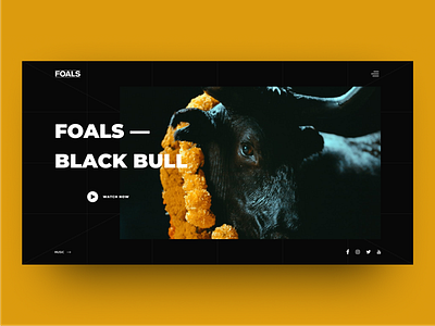 Foals Website Concept