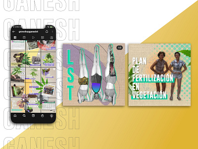 Ganesh growshop - RRSS 2021 design diseño flyer design graphic design instagram post publicación de instagram redes social rrss