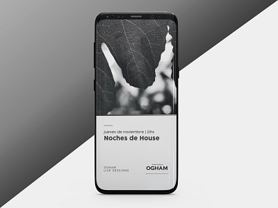 Video story design for Ogham diseño publicación de instagram redes social