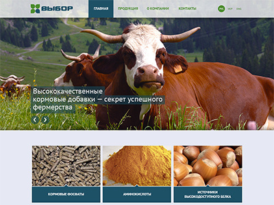 Vybor website agriculture responsive site web design