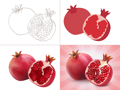 Pomegranate (process) icon icons illustration photoshop pomegranate process